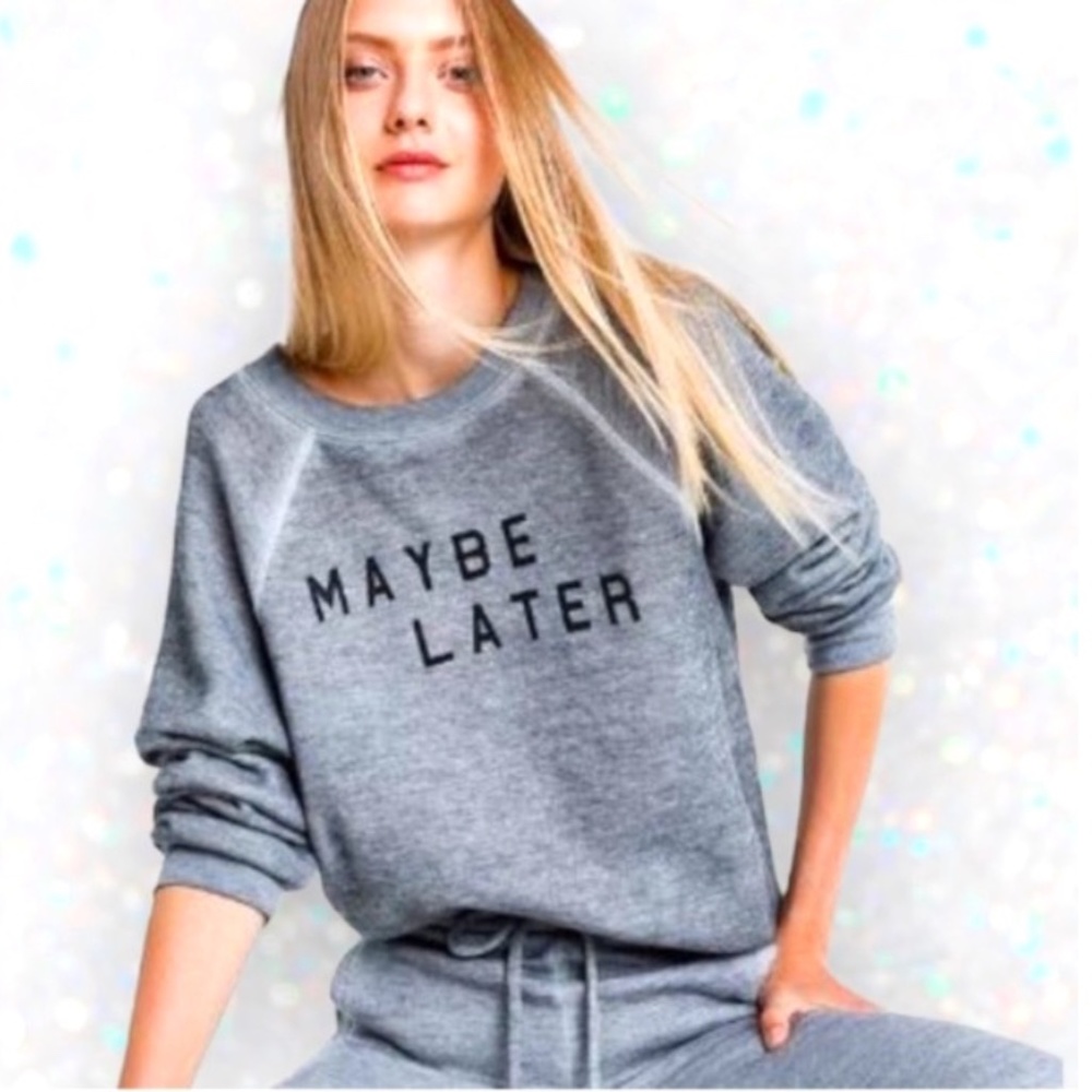 Wildfox Grey Pullover Sweatshirt Womens Size Medium